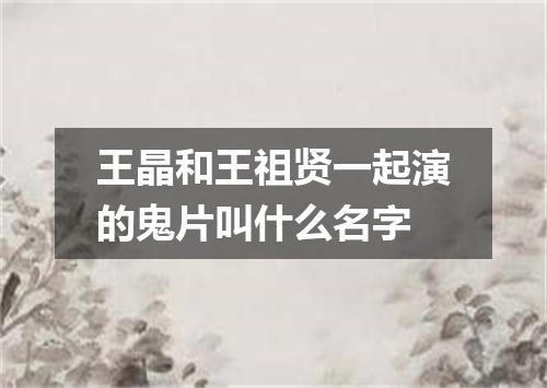 王晶和王祖贤一起演的鬼片叫什么名字