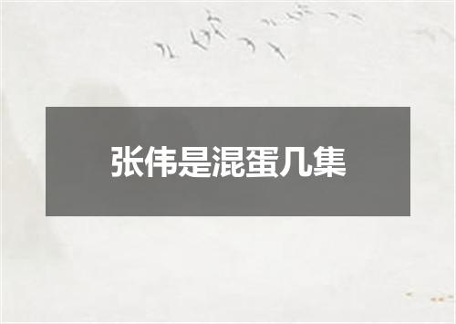 张伟是混蛋几集