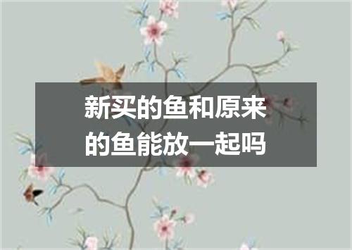 新买的鱼和原来的鱼能放一起吗