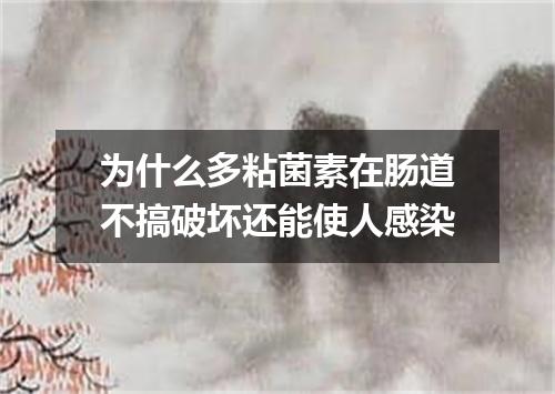 为什么多粘菌素在肠道不搞破坏还能使人感染