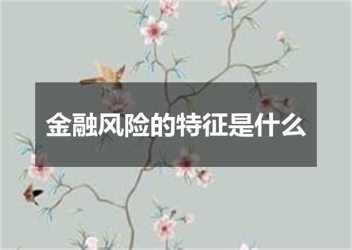 金融风险的特征是什么