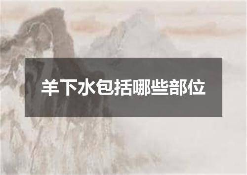 羊下水包括哪些部位