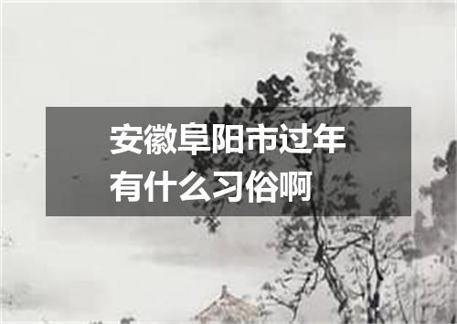 安徽阜阳市过年有什么习俗啊