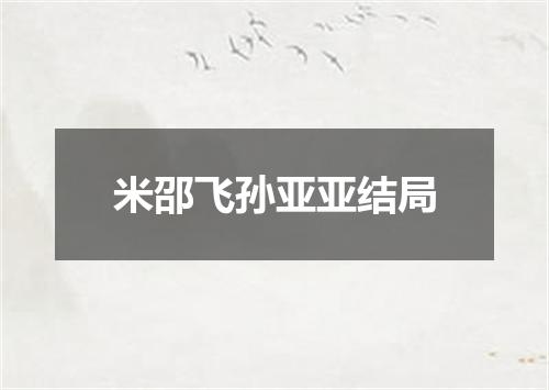 米邵飞孙亚亚结局