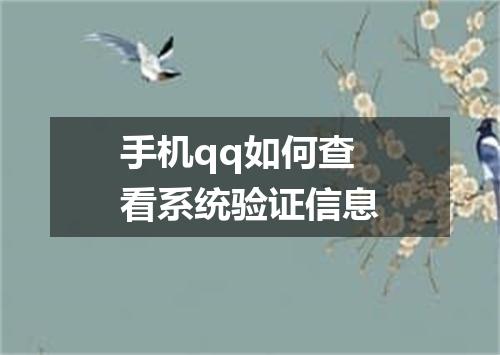 手机qq如何查看系统验证信息