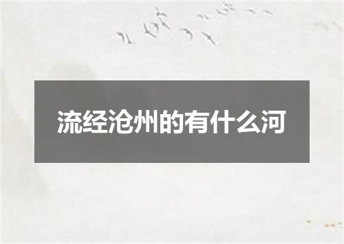 流经沧州的有什么河