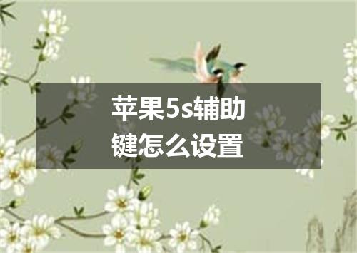 苹果5s辅助键怎么设置
