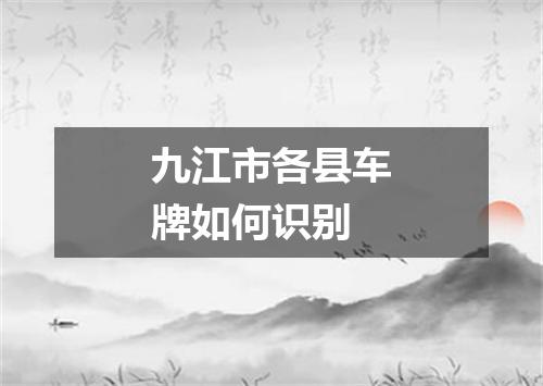 九江市各县车牌如何识别