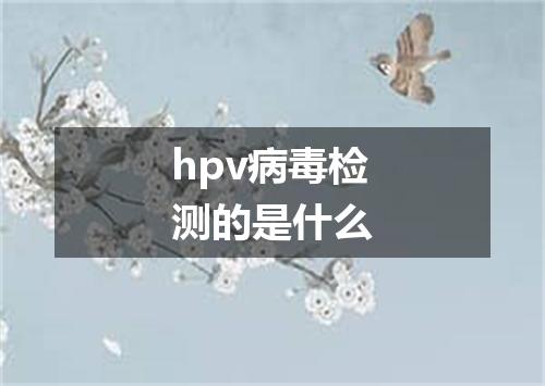 hpv病毒检测的是什么