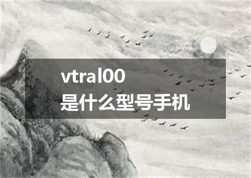 vtral00是什么型号手机