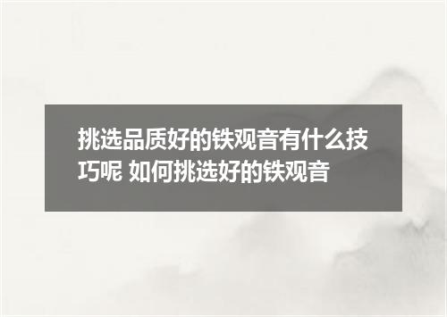 挑选品质好的铁观音有什么技巧呢 如何挑选好的铁观音