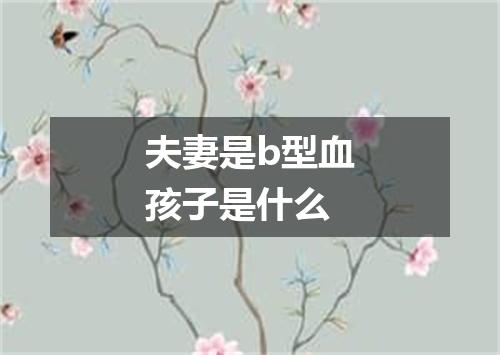 夫妻是b型血孩子是什么