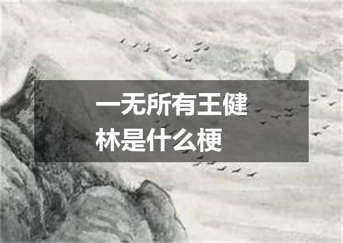 一无所有王健林是什么梗