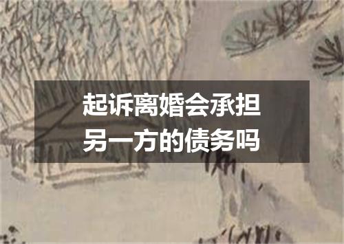 起诉离婚会承担另一方的债务吗