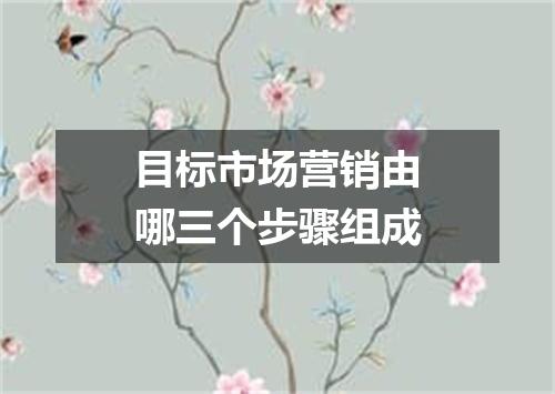 目标市场营销由哪三个步骤组成