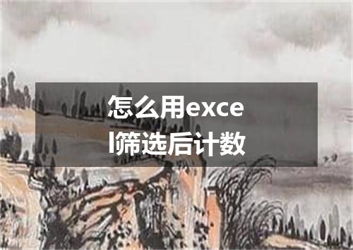 怎么用excel筛选后计数