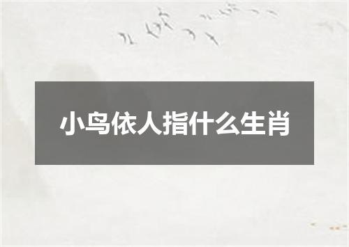 小鸟依人指什么生肖