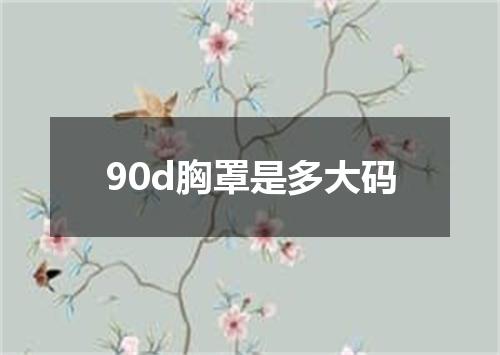 90d胸罩是多大码