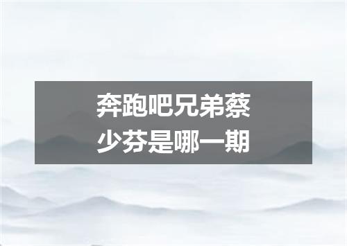 奔跑吧兄弟蔡少芬是哪一期