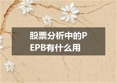股票分析中的PEPB有什么用