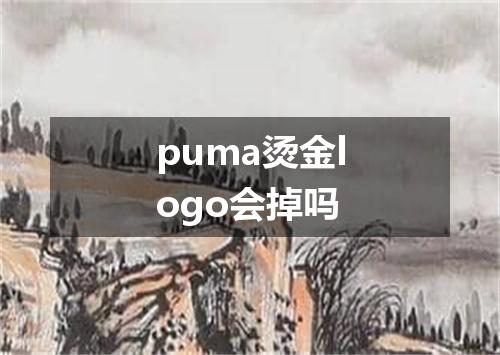 puma烫金logo会掉吗