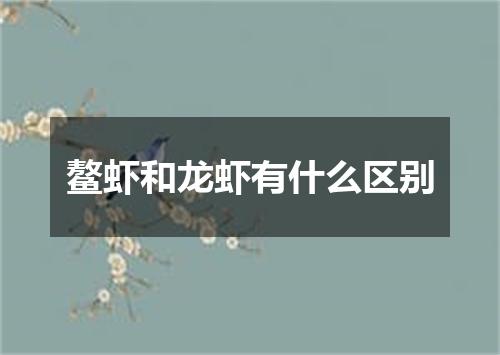 鳌虾和龙虾有什么区别