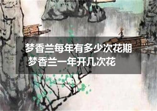 梦香兰每年有多少次花期 梦香兰一年开几次花