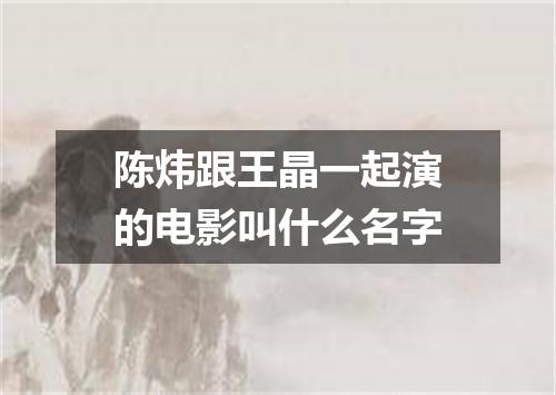 陈炜跟王晶一起演的电影叫什么名字