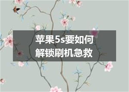 苹果5s要如何解锁刷机急救