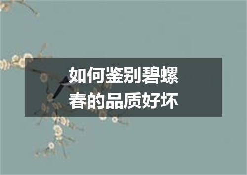 如何鉴别碧螺春的品质好坏
