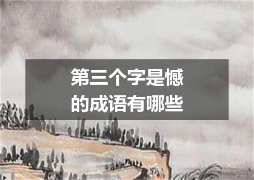 第三个字是憾的成语有哪些