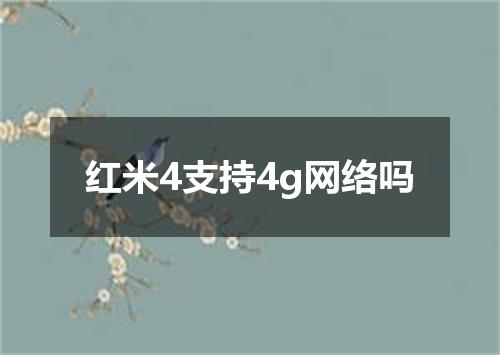 红米4支持4g网络吗