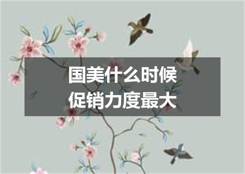 国美什么时候促销力度最大