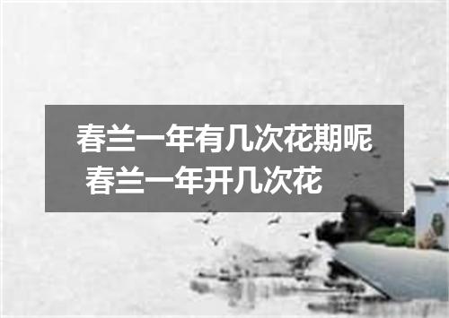 春兰一年有几次花期呢 春兰一年开几次花