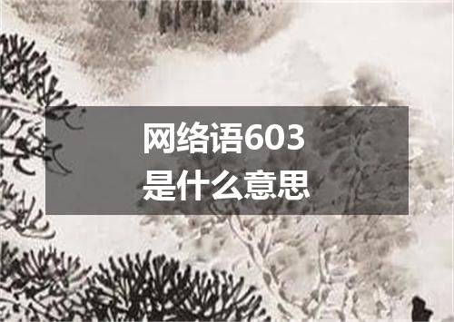 网络语603是什么意思