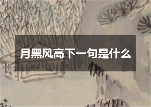 月黑风高下一句是什么