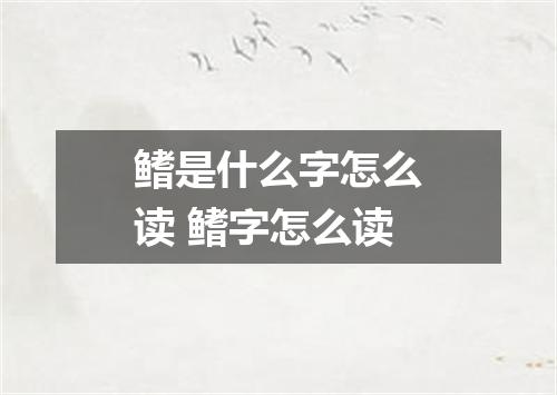 鳍是什么字怎么读 鳍字怎么读
