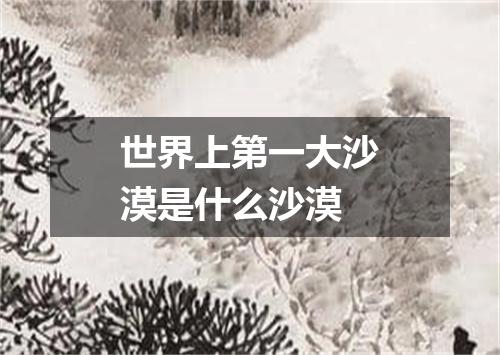 世界上第一大沙漠是什么沙漠