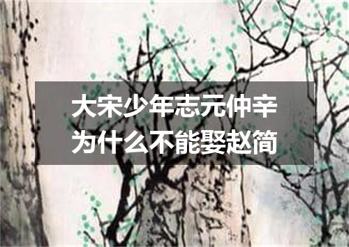 大宋少年志元仲辛为什么不能娶赵简