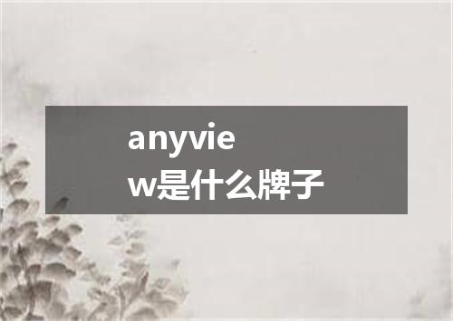 anyview是什么牌子