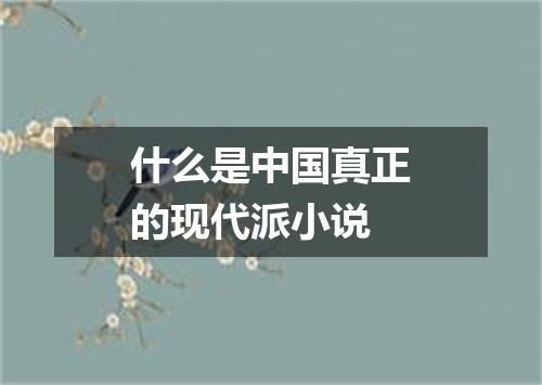 什么是中国真正的现代派小说