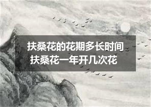 扶桑花的花期多长时间 扶桑花一年开几次花