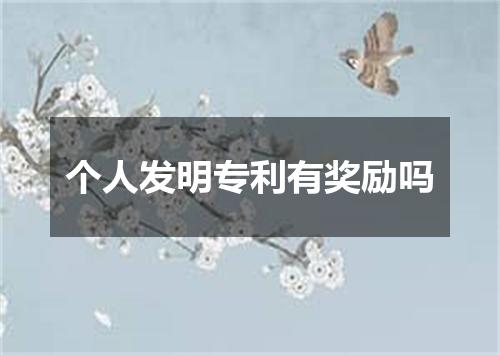 个人发明专利有奖励吗