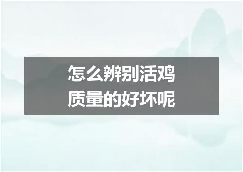 怎么辨别活鸡质量的好坏呢