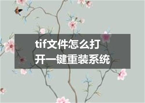 tif文件怎么打开一键重装系统
