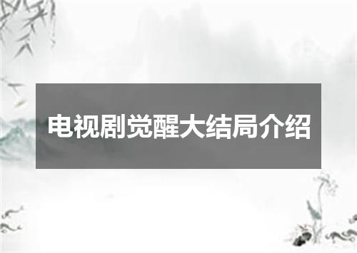 电视剧觉醒大结局介绍