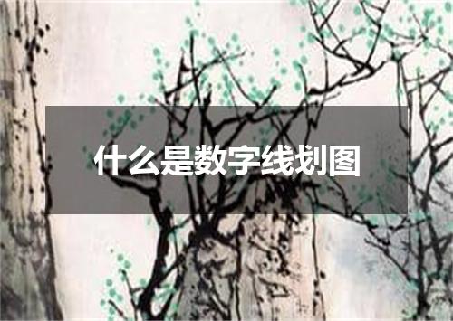 什么是数字线划图