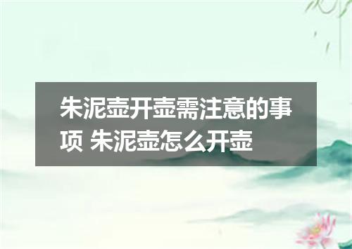 朱泥壶开壶需注意的事项 朱泥壶怎么开壶