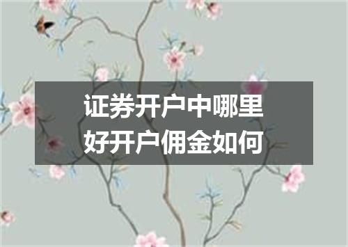 证券开户中哪里好开户佣金如何