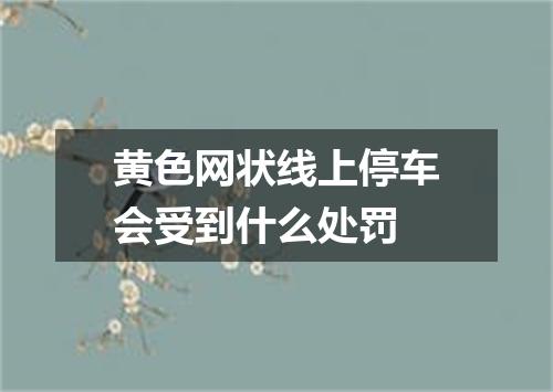黄色网状线上停车会受到什么处罚